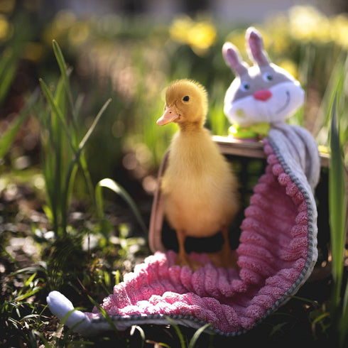 bunny-lovey-baby-blankie--Sophia's Style--7