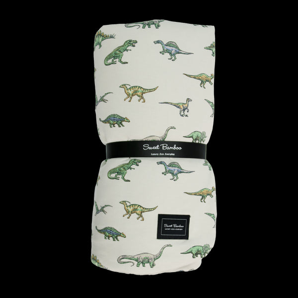 Legendary Big Kid Cloud Blanket