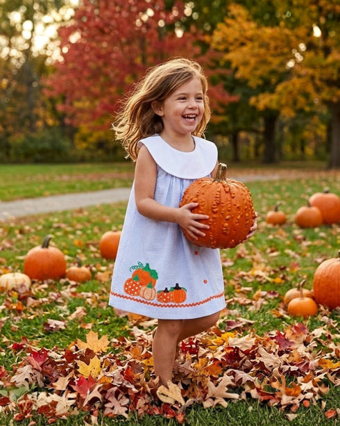 light-blue-seersucker-pumpkin-yoke-dress-lil-cactus-sophias-style-4