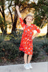 nebraska-red-herbie-husker-3-4-sleeve-pocket-twirl-dress-sophias-style-2