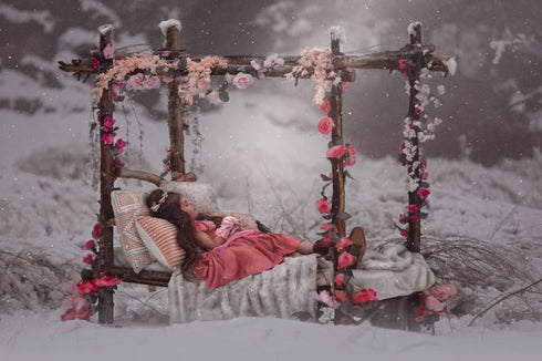 Sleeping Beauty Twirl Dress