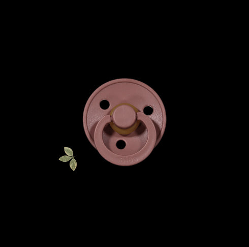 the-bibs-pacifier Lovely Littles - Sophia's Style-3