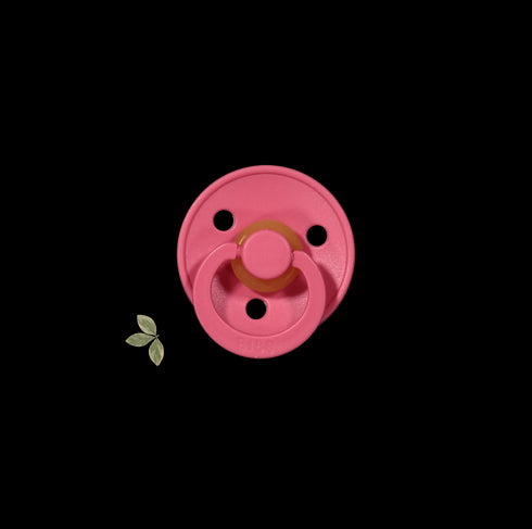 the-bibs-pacifier Lovely Littles - Sophia's Style-5