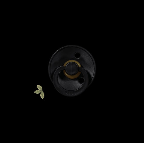 the-bibs-pacifier Lovely Littles - Sophia's Style-8