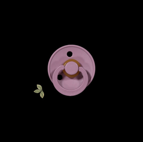 the-bibs-pacifier Lovely Littles - Sophia's Style-10