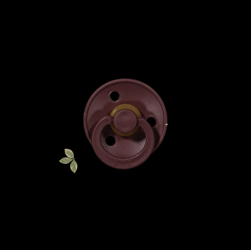 the-bibs-pacifier Lovely Littles - Sophia's Style-11