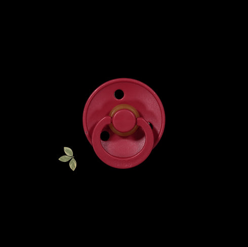 the-bibs-pacifier Lovely Littles - Sophia's Style-14