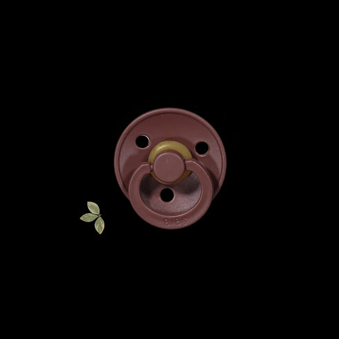 the-bibs-pacifier Lovely Littles - Sophia's Style-20