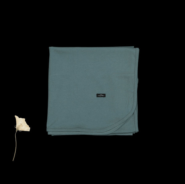 the-blanket-fern Lovely Littles - Sophia's StyleBlanket-1