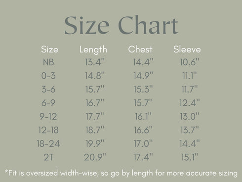 silly-goose-sweatshirt-romper-more-colors Little Joy Co - Sophia's Style-13