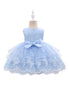 Baby Girls Sky Blue Floral Embroidery Tulle Overlay Flower Girl Dress 6-24 Months - SophiasStyle.com