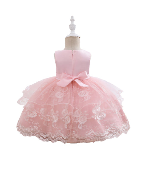 Baby Girls Blush Floral Embroidery Tulle Overlay Flower Girl Dress 6-24 Months - SophiasStyle.com