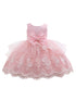 Little Girls Blush Floral Embroidery Tulle Overlay Flower Girl Dress 2T-4T - SophiasStyle.com
