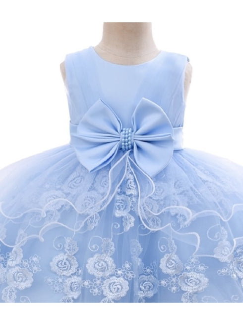 Baby Girls Sky Blue Floral Embroidery Tulle Overlay Flower Girl Dress 6-24 Months - SophiasStyle.com