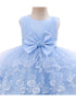 Baby Girls Sky Blue Floral Embroidery Tulle Overlay Flower Girl Dress 6-24 Months - SophiasStyle.com