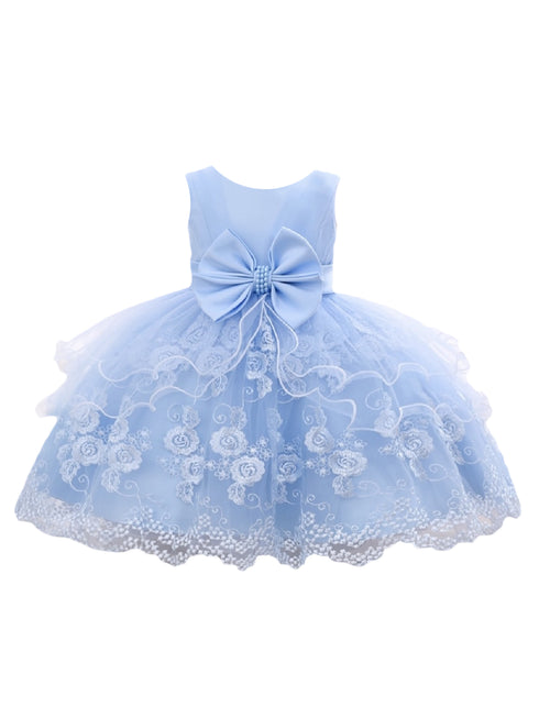 Baby Girls Sky Blue Floral Embroidery Tulle Overlay Flower Girl Dress 6-24 Months - SophiasStyle.com