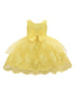 Baby Girls Yellow Floral Embroidery Tulle Overlay Flower Girl Dress 6-24 Months - SophiasStyle.com