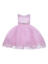 Little Girls Pink Rhinestone Embellished Sash Flower Girl Dress 2T-4T - SophiasStyle.com