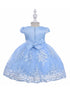 Baby Girls Sky Blue Floral Embroidery Pearl Waist Flower Girl Dress 6-24 Months - SophiasStyle.com