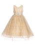 Little Girls Champagne Gold Glitter Tulle Sleeveless Flower Girl Dress 3-6 - SophiasStyle.com
