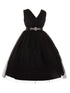 Little Girls Black Rhinestone Satin Sash V-Neck Tulle Flower Girl Dress 2-6 - SophiasStyle.com