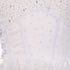 Rainkids Big Girls White Sequin Sparkly Ruffle Organza Communion Dress 7-16 - SophiasStyle.com