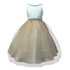 Petite Adele Little Girls Champagne Rhinestone Accented Flower Girl Dress 2T-6 - SophiasStyle.com