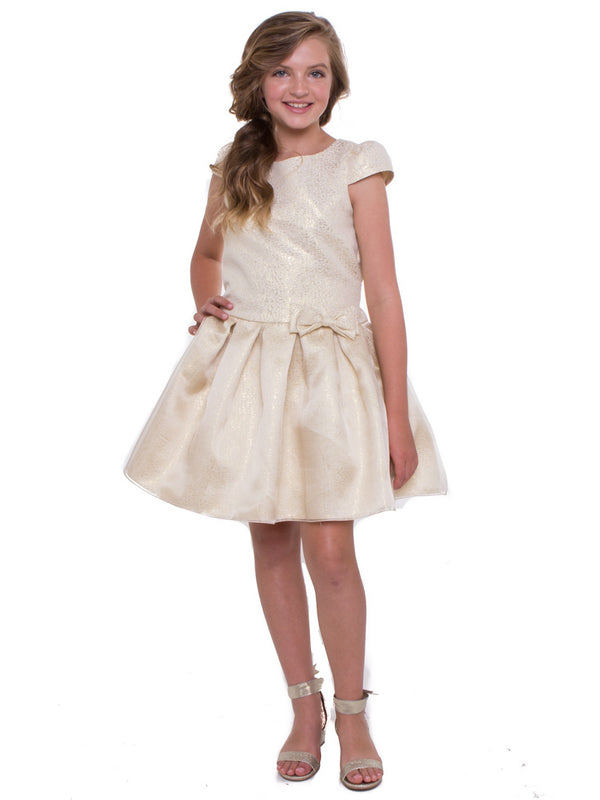 Petite Adele Big Girls Champagne Jacquard Organza Junior Bridesmaid Dress 8-12 - SophiasStyle.com