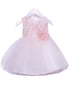 Petite Adele Baby Girls Blush Silk Embroidered Tulle Flower Girl Dress 6-24M - SophiasStyle.com