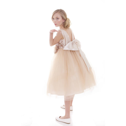 Petite Adele Little Girls Champagne Embroidery Luxurious Flower Girl Dress 2-6 - SophiasStyle.com