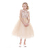 Petite Adele Little Girls Champagne Embroidery Luxurious Flower Girl Dress 2-6 - SophiasStyle.com