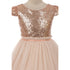 Kids Dream Big Girls Blush Sequins Tulle Cap Sleeves Easter Dress 8-12 - SophiasStyle.com