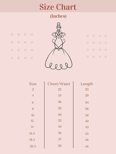 Kids Dream Big Girls Blush Floral Applique Plus Size Princess Ballgown 16.5-20.5 - SophiasStyle.com