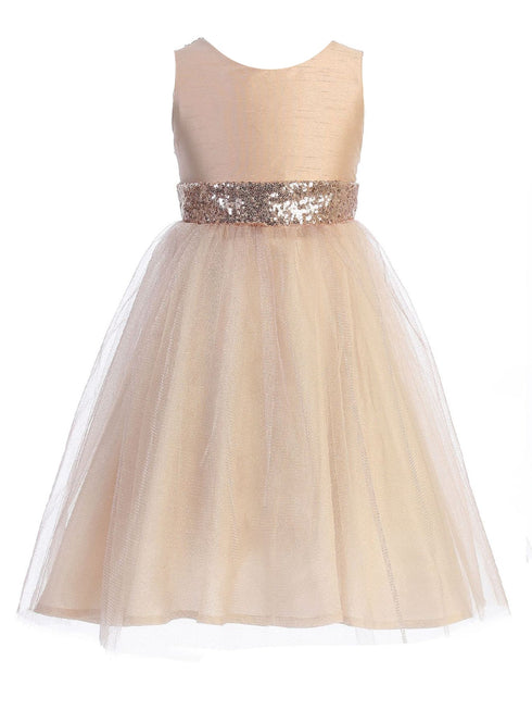 Kids Dream Big Girls Sequin Glitter Tulle Flower Girl Dress, Sizes 2-12 - SophiasStyle.com