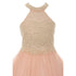 Little Girls Blush Dazzling Halter Neck Party Tulle Flower Girl Dress 4-6 - SophiasStyle.com