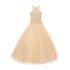 Big Girls Champagne Dazzling Halter Neck Tulle Junior Bridesmaid Dress 8-16 - SophiasStyle.com