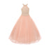 Little Girls Blush Dazzling Halter Neck Party Tulle Flower Girl Dress 4-6 - SophiasStyle.com