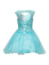 Little Girls Aqua Sweetheart Neckline Lace Party Tulle Flower Girl Dress 2-6 - SophiasStyle.com