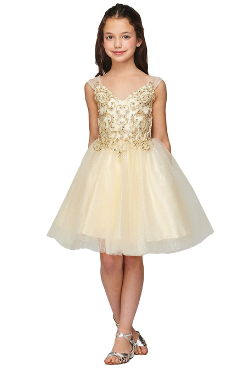 Girls Multi Color V Neck Beaded Tulle Short Junior Bridesmaid Dress 4-16 - SophiasStyle.com