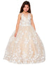 Little Girls Champagne 3D Floral Applique Lace Sequin Flower Girl Dress 2-6 - SophiasStyle.com