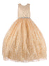 Big Girls Champagne Glitter Embroidered Rhinestone Belt Ball Gown 8-16 - SophiasStyle.com