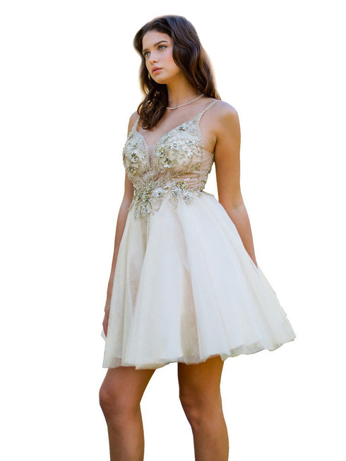 Multi Color Illusion Sparkly Tulle Special Occasion Dress for Women, Sizes XS-3XL - SophiasStyle.com