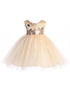 Kids Dream Baby Girls Blush Sequin Vintage Floral Flower Girl Dress 6-24 Months - SophiasStyle.com