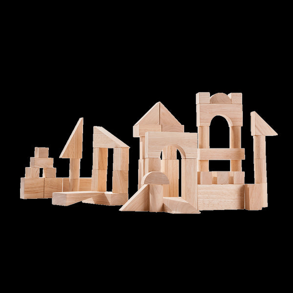 50-unit-blocks-PlanToys USA-Sophia's Style--1