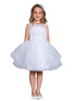 Girls Multi Color Illusion Neck Lace Tulle Overlay Junior Bridesmaid Dress 2-12 - SophiasStyle.com