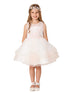Girls Multi Color Illusion Neck Lace Tulle Overlay Junior Bridesmaid Dress 2-12 - SophiasStyle.com
