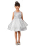Girls Multi Color Illusion Neck Lace Tulle Overlay Junior Bridesmaid Dress 2-12 - SophiasStyle.com