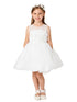 Girls Multi Color Illusion Neck Lace Tulle Overlay Junior Bridesmaid Dress 2-12 - SophiasStyle.com