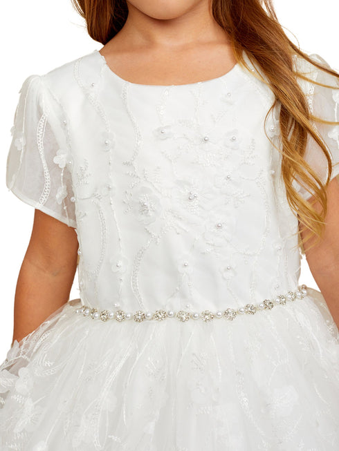 Tip Top Kids Girls 3D Floral Applique Special Occasion Dress, Sizes 6M-16 - SophiasStyle.com