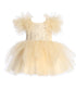 Tip Top Kids Girls Mesh Sleeve Dress with Beaded Lace Overlay Bodice and Layered Skirt, Sizes 6 Months-12 - SophiasStyle.com